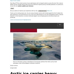 Arctic ice carries heavy freight of plastic : Research Highlights