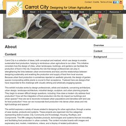 Carrot City - Content
