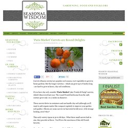 ‘Paris Market’ Carrots are Round Delights