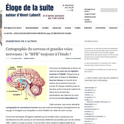 Cartographie du cerveau et grandes voies nerveuses : le “MFB” toujours à l’étude !