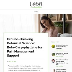 Ground-Breaking Botanical Science: Beta-Caryophyllene for Pain Management Support