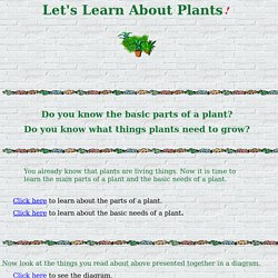 Lets learn about Plants