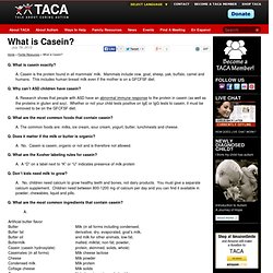 What is Casein?