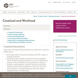 Caseload/Workload: Key Issues