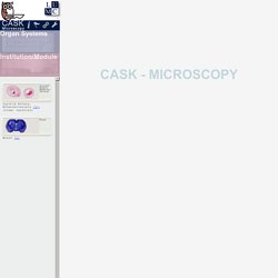 CASK Virtual Microscopy