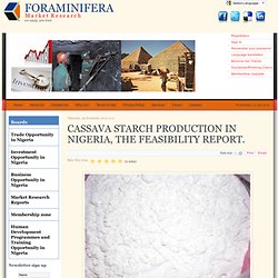 CASSAVA STARCH PRODUCTION IN NIGERIA, THE FEASIBILITY REPORT.