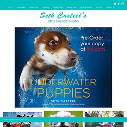 Seth Casteel / Underwater Dogs / Underwater Puppies