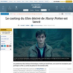 Le casting du film dérivé de Harry Potter est lancé