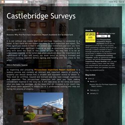 Castlebridge Surveys: Reasons Why Pre-Purchase Inspections Report Auckland Are So Important