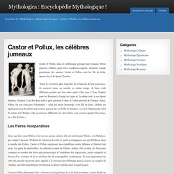 Castor et Pollux, les célébres jumeaux