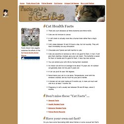 Cat Health Facts