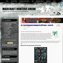 Best Cataclysm Cunning Pet DPS Spec – Level 85 – Warcraft Hunters Union