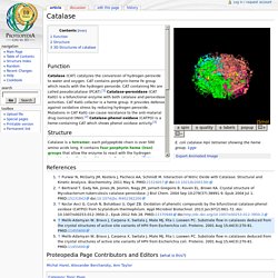 Catalase - Proteopedia, life in 3D