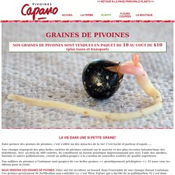 CATALOGUE DE PIVOINES-Pivoines A à G