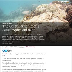 The Great Barrier Reef: a catastrophe laid bare