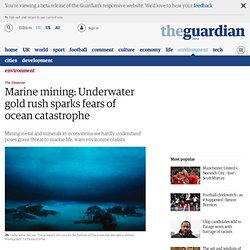 Marine mining: Underwater gold rush sparks fears of ocean catastrophe
