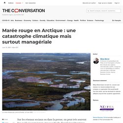 Marée rouge en Arctique : une catastrophe climatique mais surtout managériale