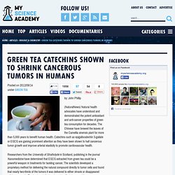Green tea catechins shown to shrink cancerous tumors in humans