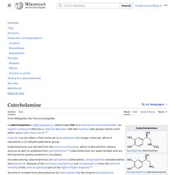 Catecholamine