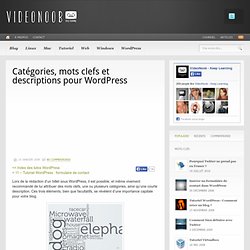 Catégories, mots clefs et descriptions pour WordPress
