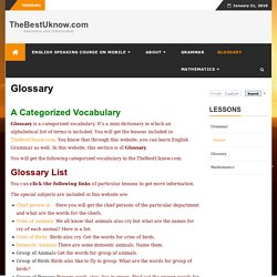 Glossary- The List of Categorized Vocabulary