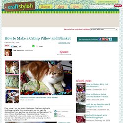 How to Make a Catnip Pillow and Blanket