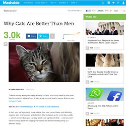 Why Cats Are Better Than Men [INFOGRAPHIC]