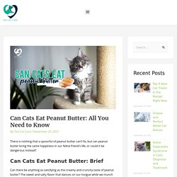 Can Cats Eat Peanut Butter: All You Need to Know - The Cat Care