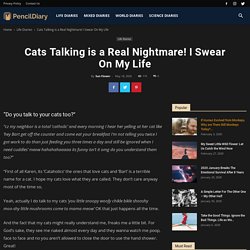 Cats Talking is a Real Nightmare! I Swear On My Life