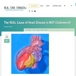 The REAL Cause of Heart Disease is NOT Cholesterol!