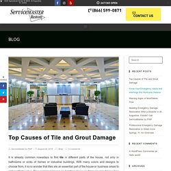 Top Causes of Tile and Grout Damage
