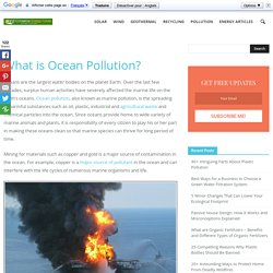 Causes and Effects of Ocean Pollution