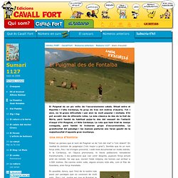 Cavall Fort: 1127 - El Puigmal des de Fontalba