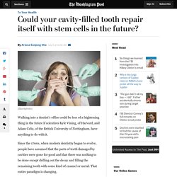 Could your cavity-filled tooth repair itself with stem cells in the future?
