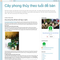 Cây phong thủy theo tuổi để bàn: Cây phong thủy để bàn tuổi Ngọ ý nghĩa