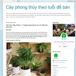 Cây phong thủy theo tuổi để bàn: Cây Cau Tiểu Châm – Ý nghĩa phong thủy và vị trí đặt cây phù hợp