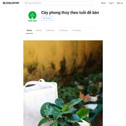 Cây phong thủy theo tuổi để bàn (cayphongthuydebanpx) on Bloglovin’