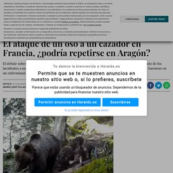 El caso del cazador atacado por un oso en Francia, ¿podría repetirse en Aragón?