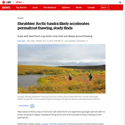 arctic-tundra-permafrost-thaw-shrub-1