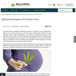 CBD Oil During Pregnancy: All You Need to Know