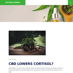 CBD Lowers Cortisol?
