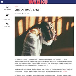 CBD Oil for Anxiety - WebKu