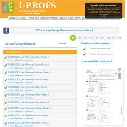 CE1 Repérer Les Substituts Niveau 1