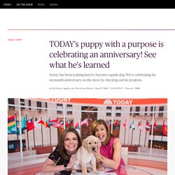 TODAY's puppy with a purpose, Sunny, is celebrating an anniversary