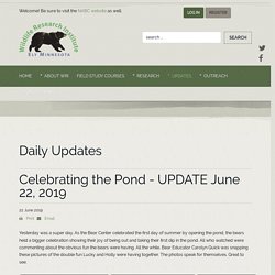 Celebrating the Pond - UPDATE June 22, 2019