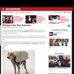 50 Dogs In Star Wars Costumes
