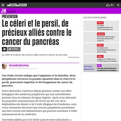 Le céleri et le persil, de précieux alliés contre le cancer du pancréas