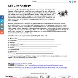 Cell City Analogy