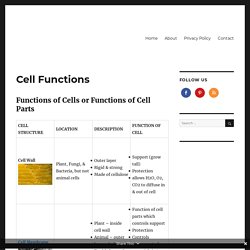 Cell Functions -