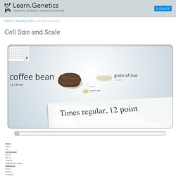 Cell Size and Scale - StumbleUpon